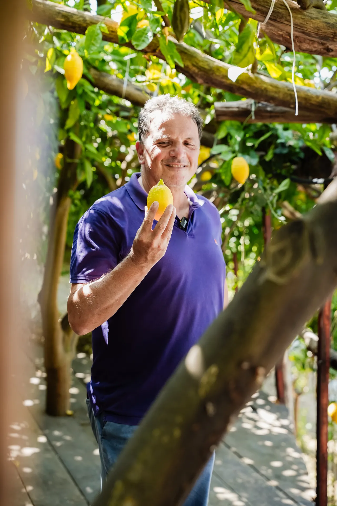 Classic Lemon Tour <span>10:15</span> - Image 5
