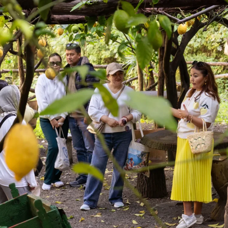 Classic Lemon Tour <span>10:15</span>