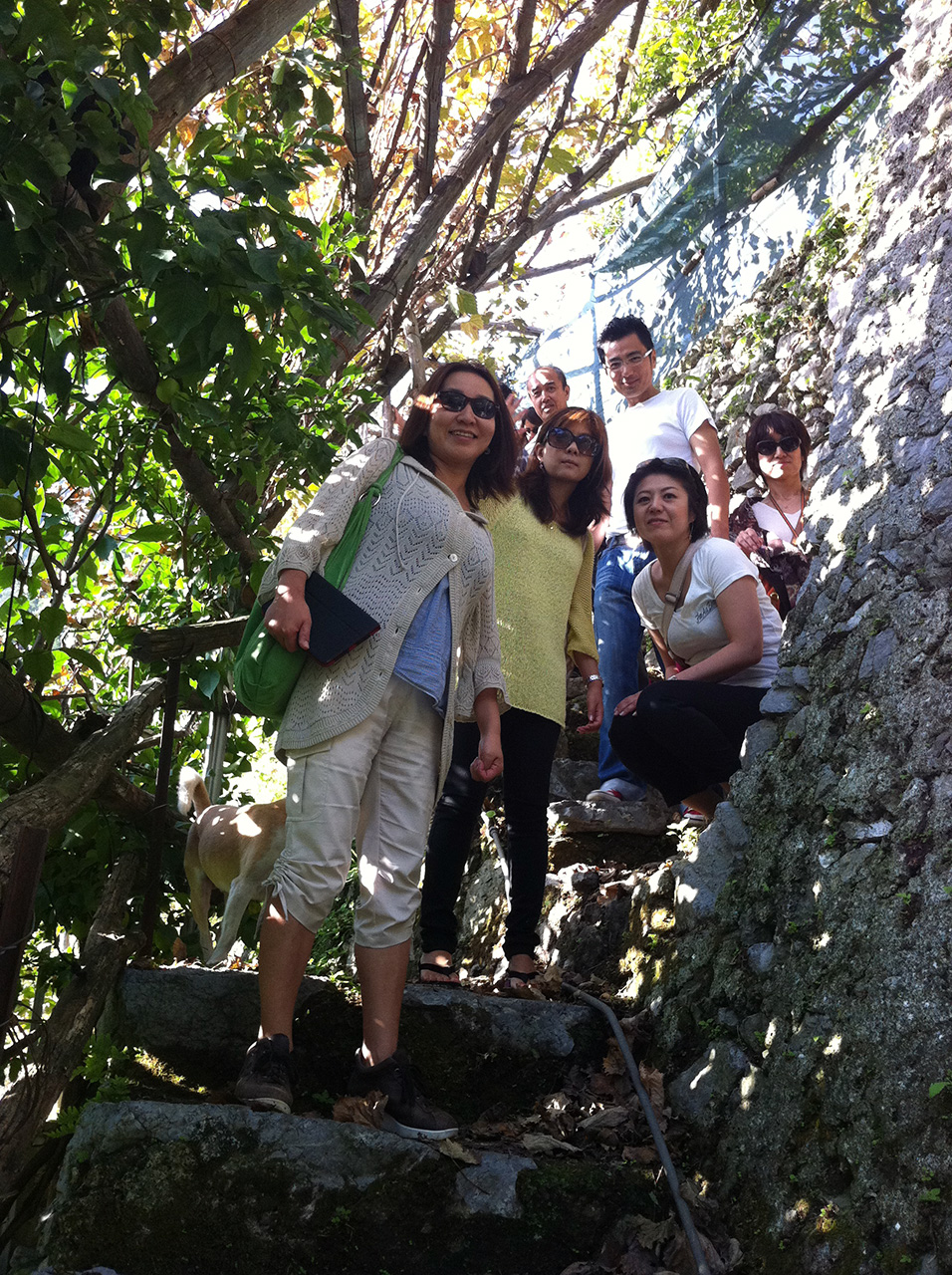 Lemon tour + Lunch - Image 3