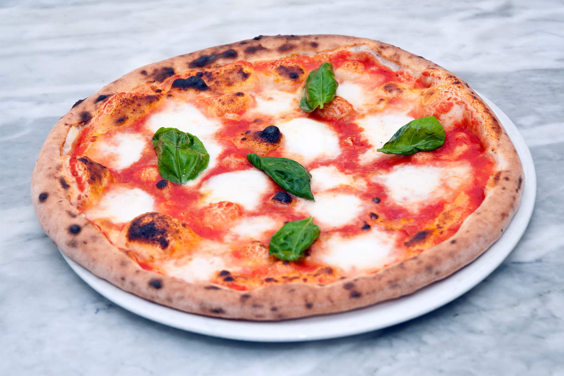 Lemon tour+ pasta and pizza class <span>4:30pm</span> - Image 4