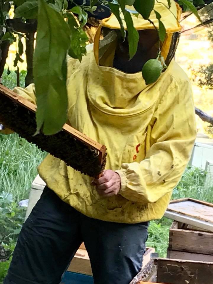 Honey Lemon Experience & Tour <span>11am</span> - Image 2
