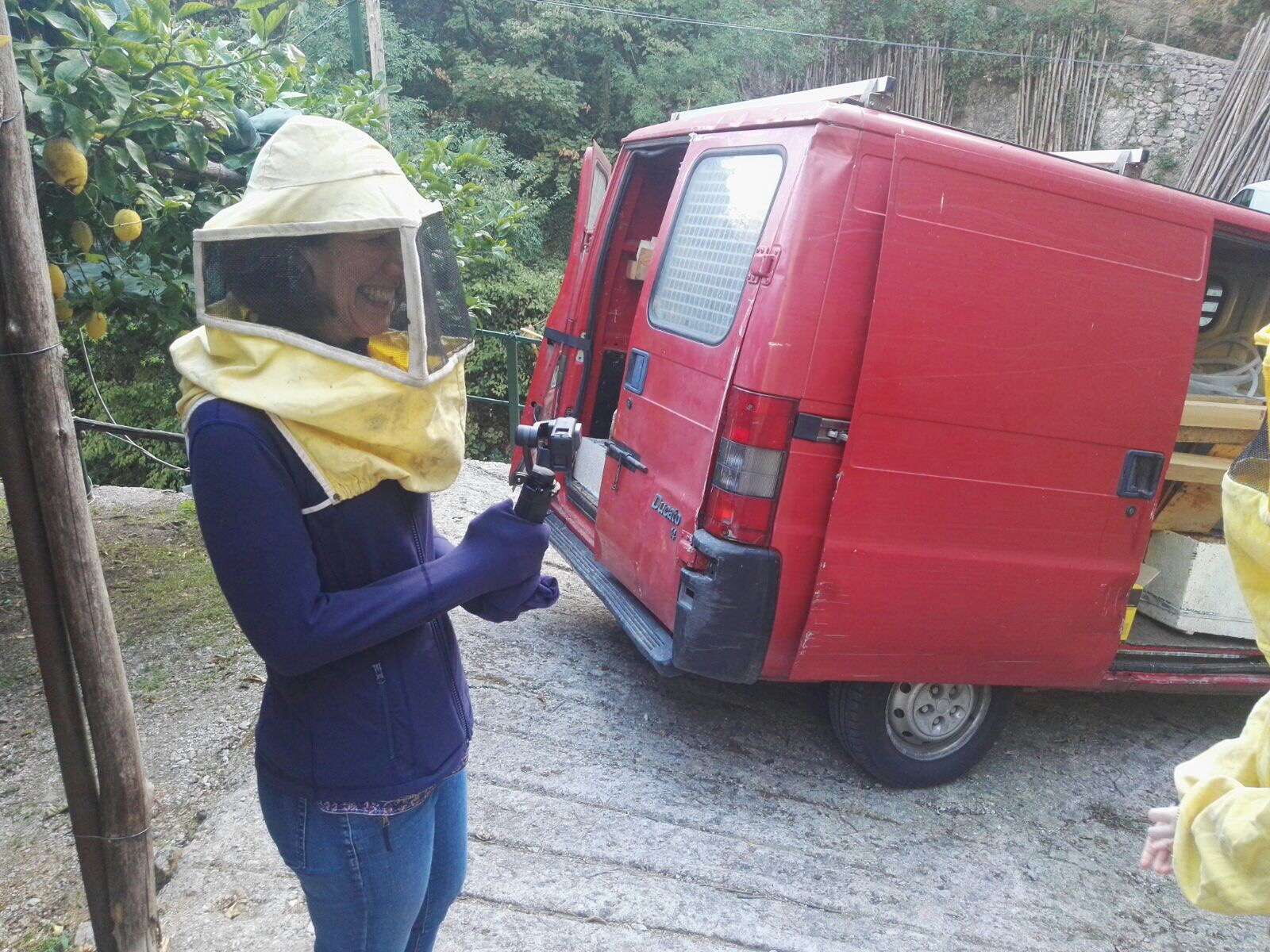 Honey Lemon Experience & Tour <span>11am</span> - Image 10