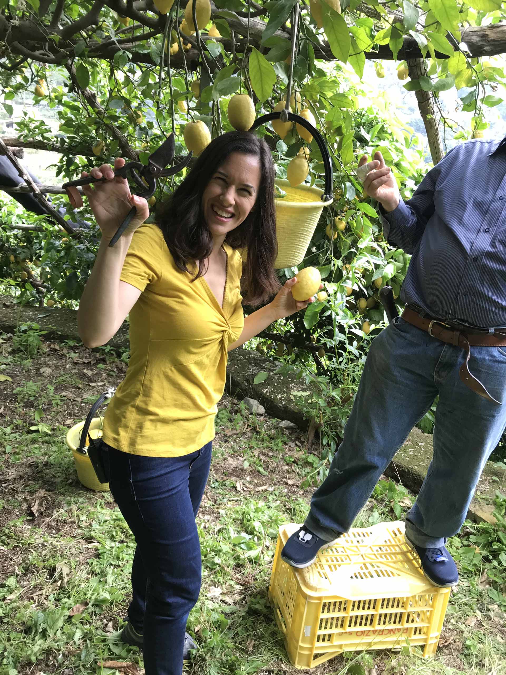 Limoncello Class+ Lemon Tour <span>3pm</span> - Image 4